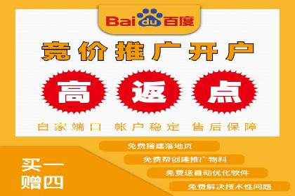 解析SEM外包公司如何利用数据分析优化广告效果